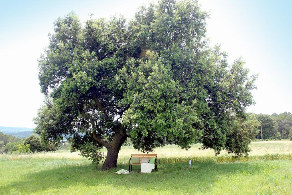 Mas La Casa Nova Βίλα Pontos Δωμάτιο φωτογραφία